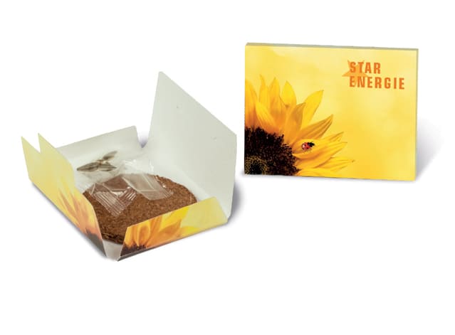 Sunny Packet_1331